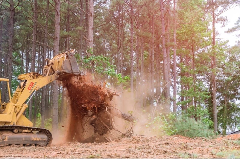 land clearing a lot, grubbing soil and prepping for building