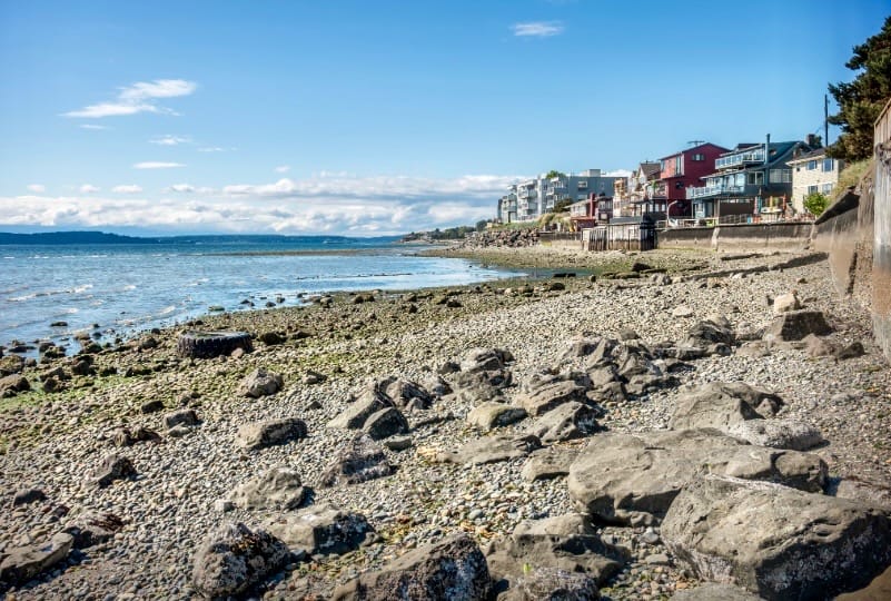sea wall at low tide